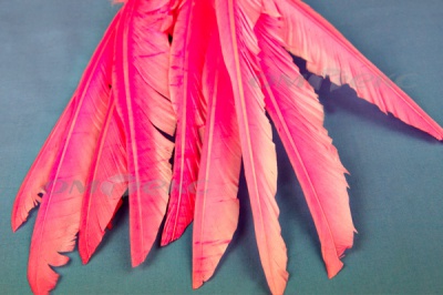 Декоративный Пучок из перьев, перо 25см/розовый - купить в Березниках. Цена: 14.40 руб.