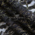 Кружевное полотно XD LACE 1-4, 80 гр/м2, шир.150см, цвет чёрный - купить в Березниках. Цена 245.94 руб.