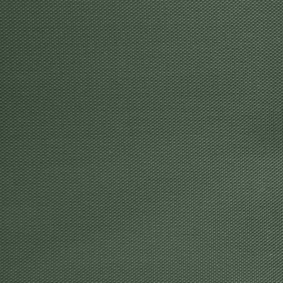 Оксфорд (Oxford) 240D 19-5917, PU/WR, 115 гр/м2, шир.150см, цвет т.зелёный - купить в Березниках. Цена 152.54 руб.