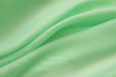 Портьерный капрон 13-6009, 47 гр/м2, шир.300см, цвет св.зелёный - купить в Березниках. Цена 143.68 руб.