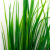 Трава искусственная -2, шт (осока 41см/8 см)				 - купить в Березниках. Цена: 104.57 руб.