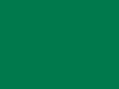 85 см № 258 яр. зеленый спираль (G) сорт-2 - купить в Березниках. Цена: 17.15 руб.
