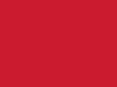 Сетка подкладочная красный, 60г/м2 (10 м/кг) - купить в Березниках. Цена 885.73 руб.