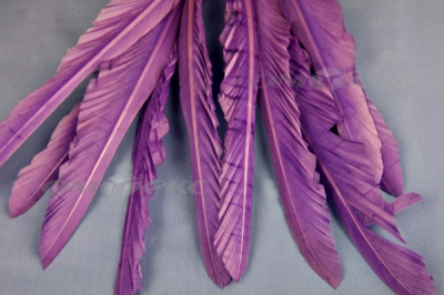 Декоративный Пучок из перьев, перо 25см/фиолетовый - купить в Березниках. Цена: 12.19 руб.