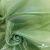 Ткань органза, 100% полиэстр, 28г/м2, шир. 150 см, цв. #27 зеленый - купить в Березниках. Цена 86.24 руб.