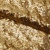 Сетка с пайетками №3, 188 гр/м2, шир.140см, цвет золотой - купить в Березниках. Цена 458.76 руб.