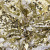 Трикотажное полотно, Сетка с пайетками, шир.130 см, #315, цв.-белый/золото - купить в Березниках. Цена 693.39 руб.