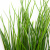 Трава искусственная -4, шт  (осока 50 см/8 см  7 листов)				 - купить в Березниках. Цена: 130.73 руб.