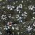 Плательная ткань "Фламенко" 11.2, 80 гр/м2, шир.150 см, принт растительный - купить в Березниках. Цена 259.21 руб.